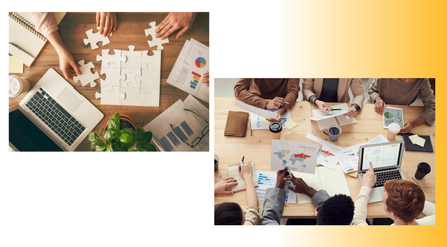 "Impact of Google's 2025 Updates on Digital Marketing Strategies"